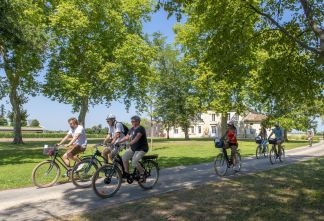 Vélo dans le vignoble Vélo dans le vignoble